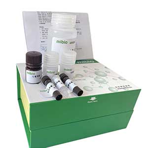 紅霉素-N-脫甲基酶(ERND)測試盒/微量法主圖